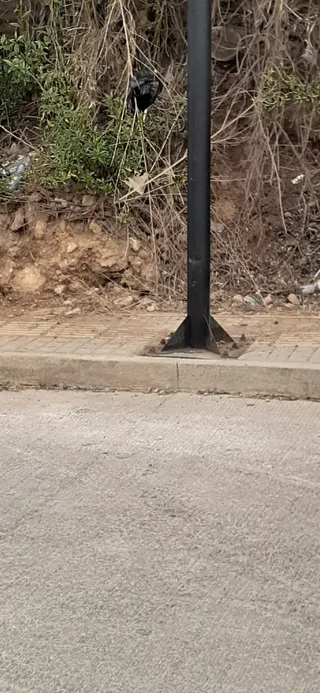 Avance de obra del 22/05/2026 — foto 3